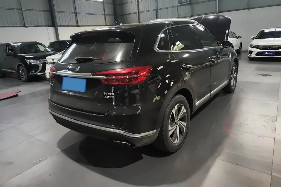 2019 HONGQI HS5 thumbnail 2