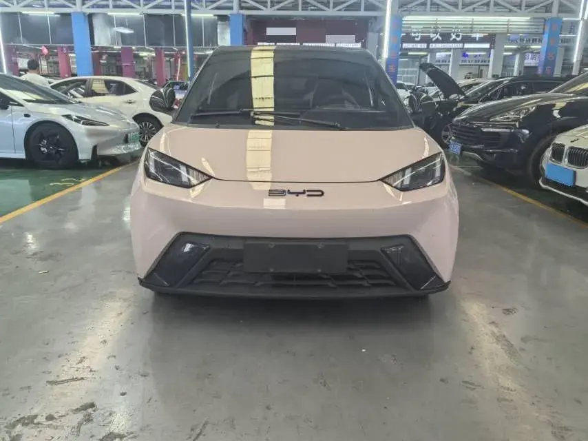 2024 BYD SEAGULL thumbnail 2