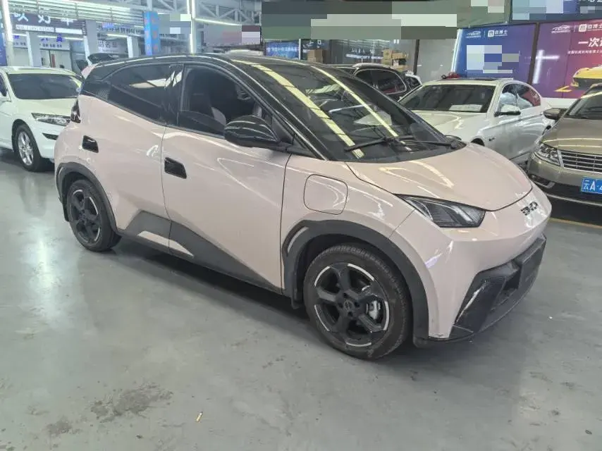 2024 BYD SEAGULL thumbnail 3