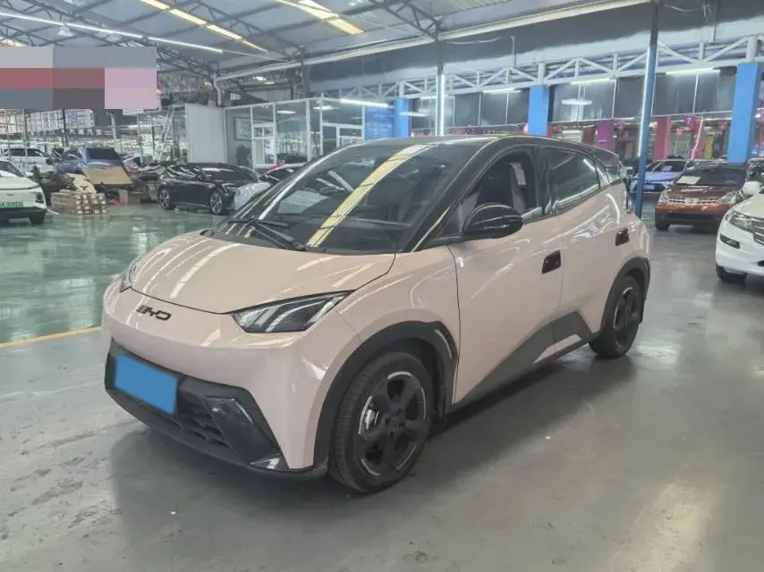 2024 BYD SEAGULL view 1