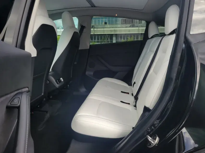 2021 TESLA MODEL thumbnail 4