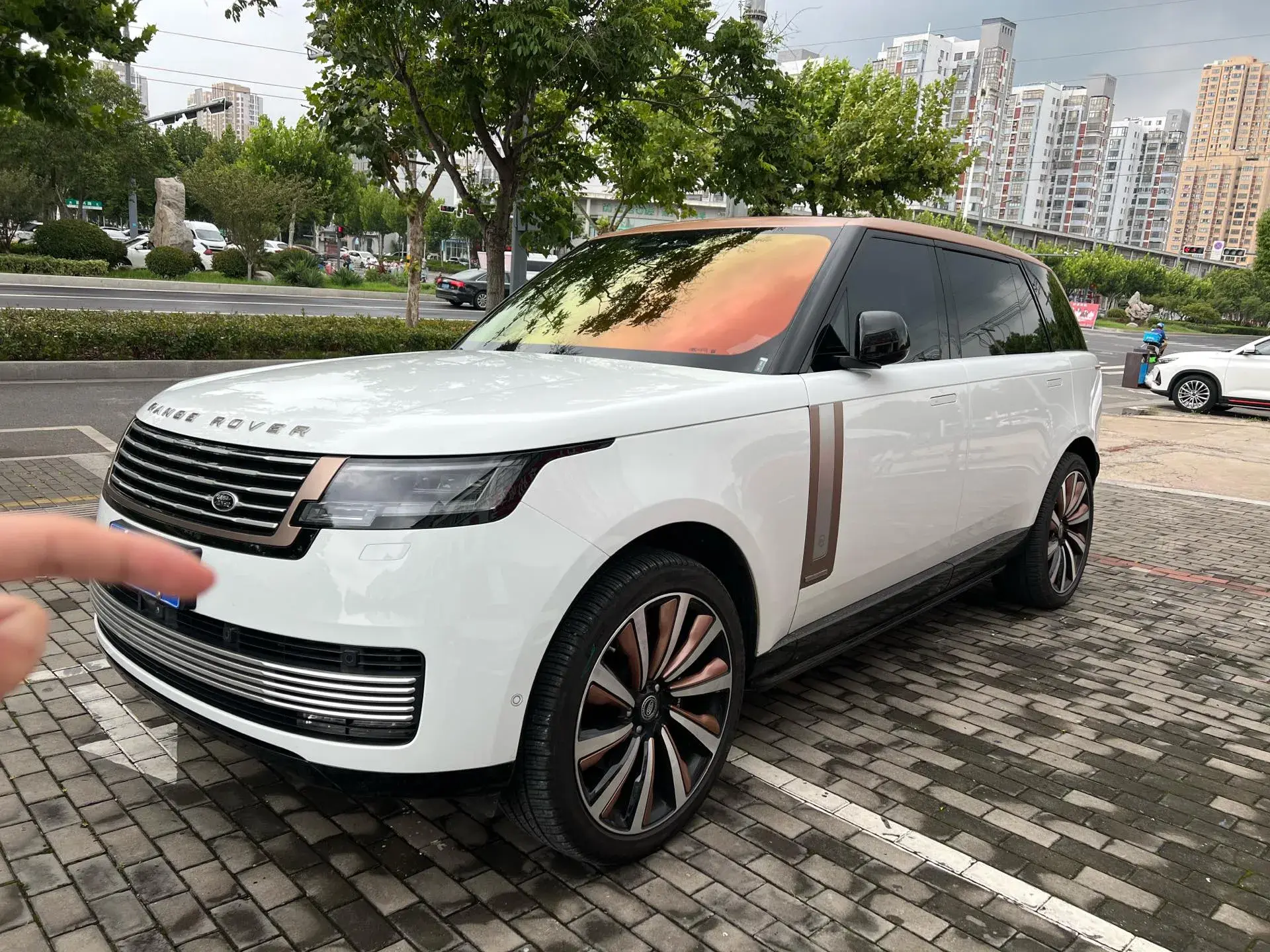 2022 LAND ROVER view 1