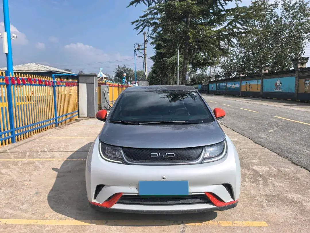 2021 BYD DOLPHIN thumbnail 2