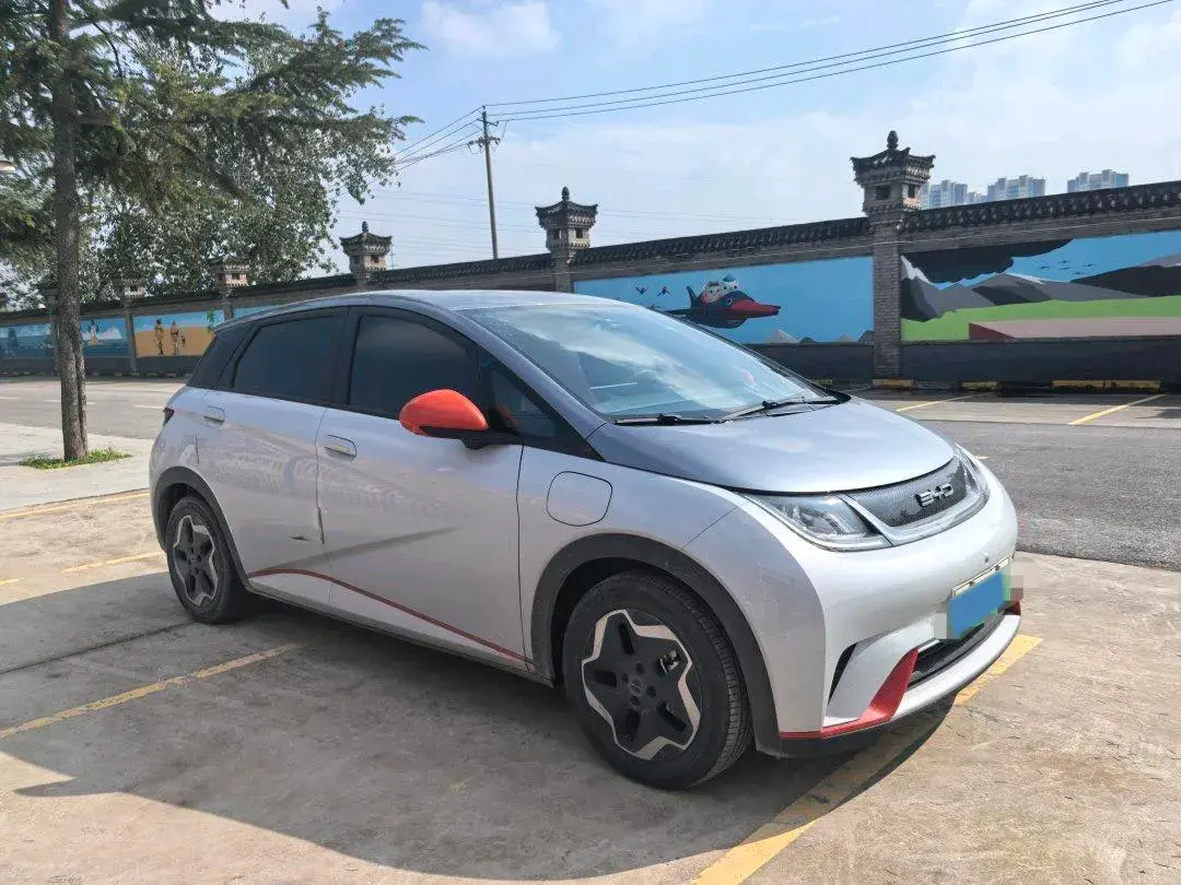 2021 BYD DOLPHIN thumbnail 3