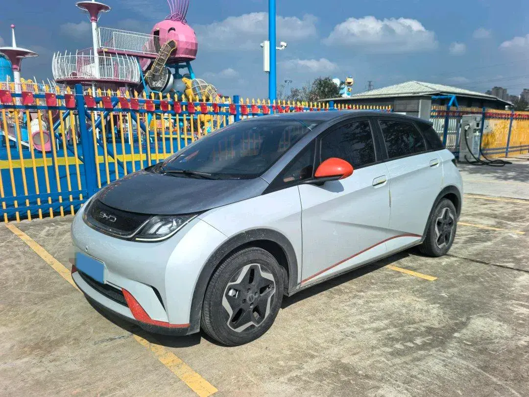 2021 BYD DOLPHIN view 1