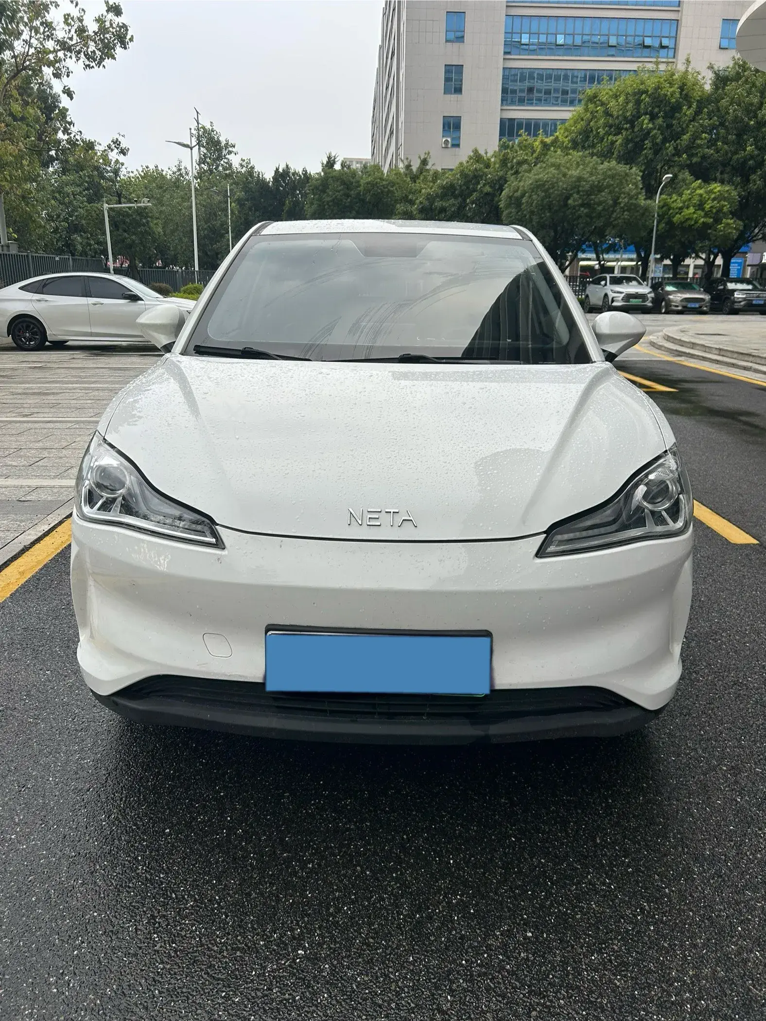 2021 NETA V thumbnail 2