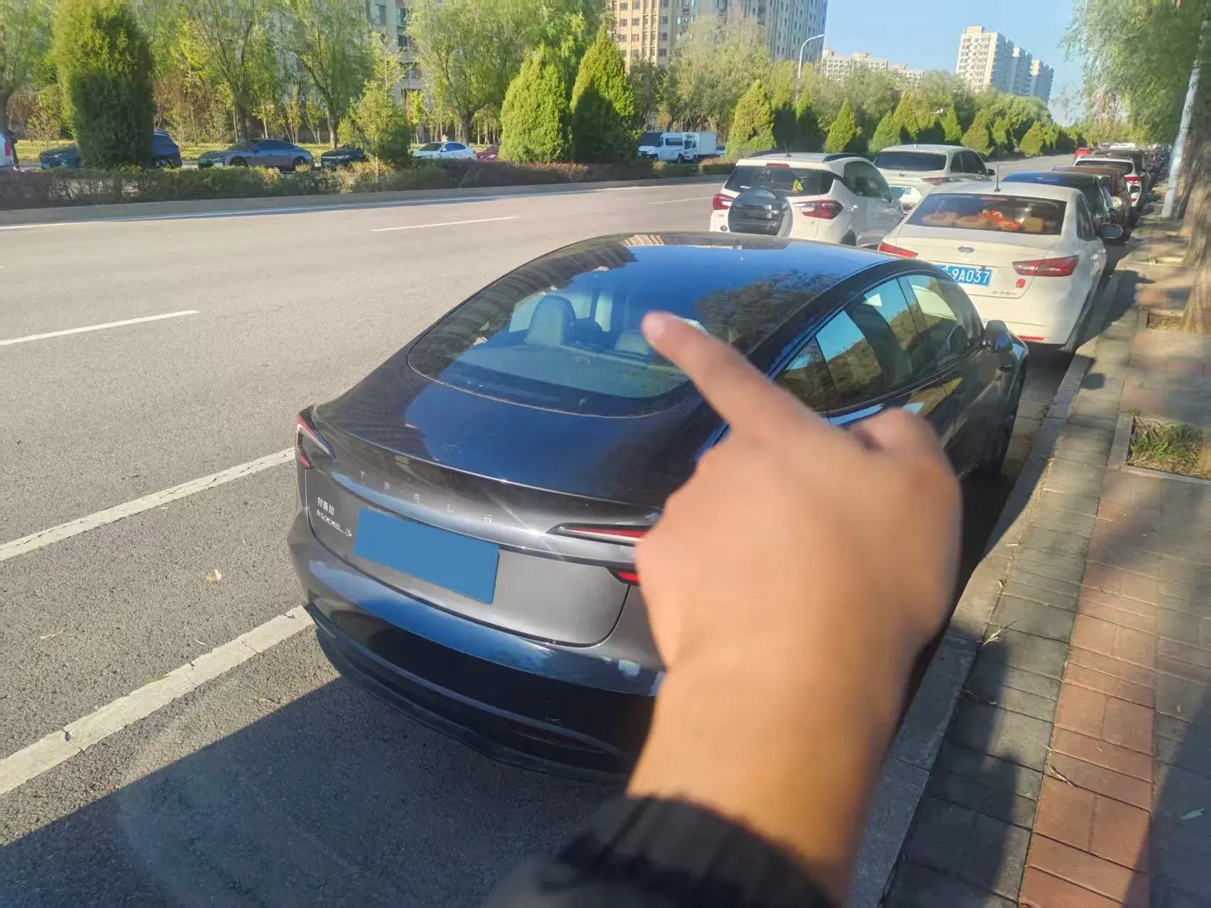 2025 TESLA MODEL thumbnail 2