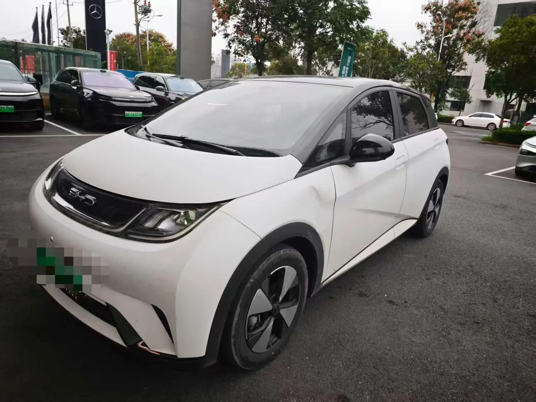 2021 BYD DOLPHIN view 1