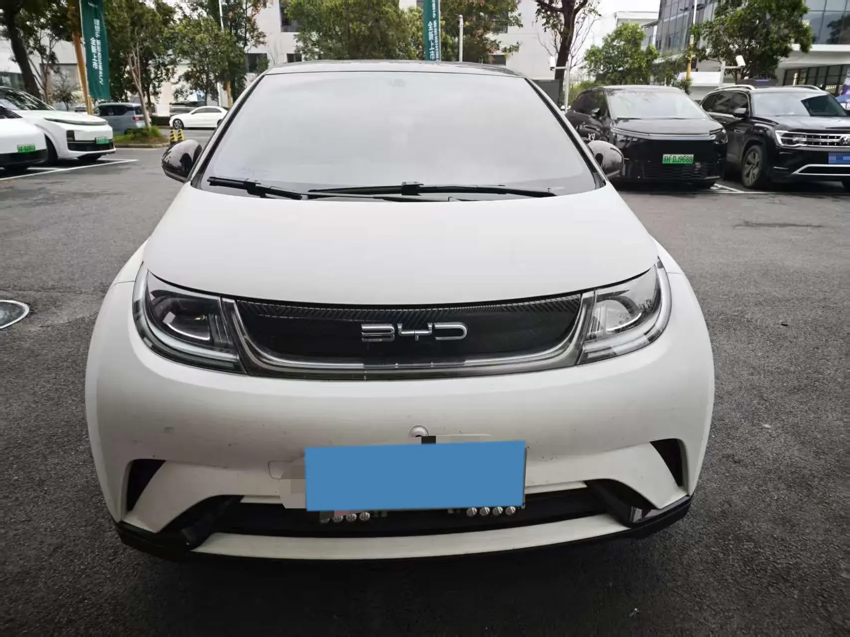 2021 BYD DOLPHIN thumbnail 2