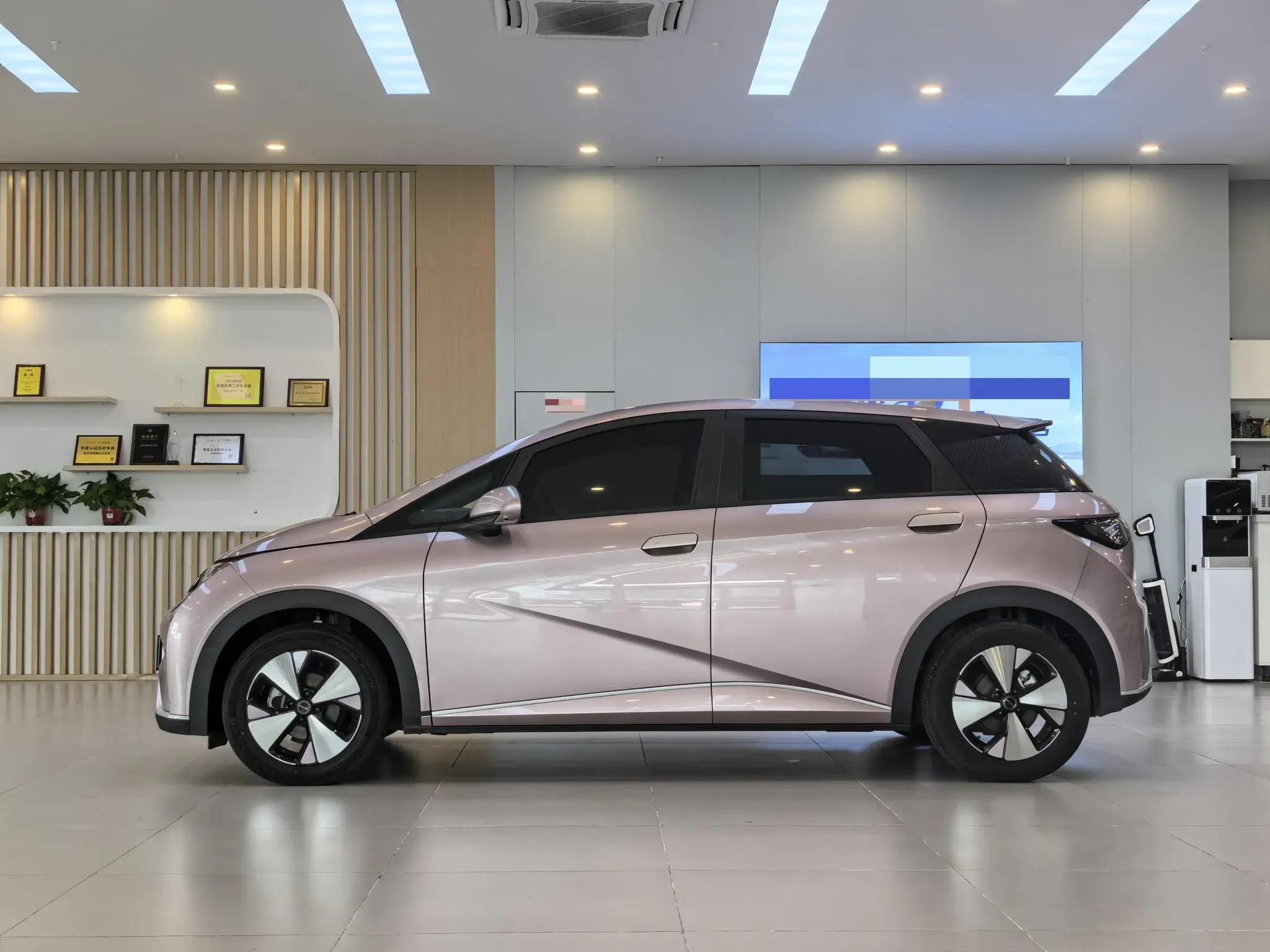 2023 BYD DOLPHIN thumbnail 3