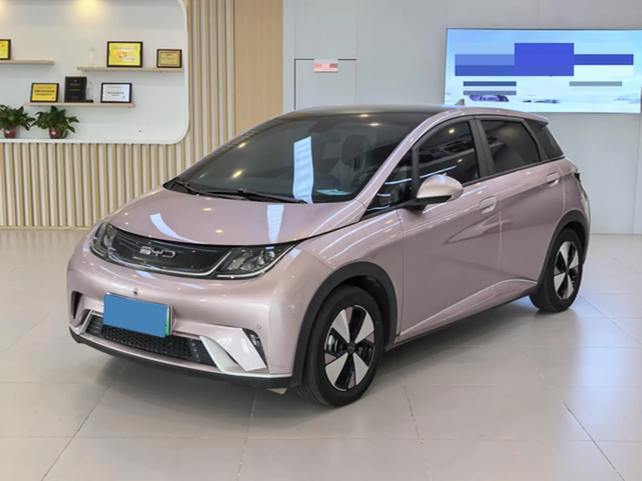 2023 BYD DOLPHIN view 1