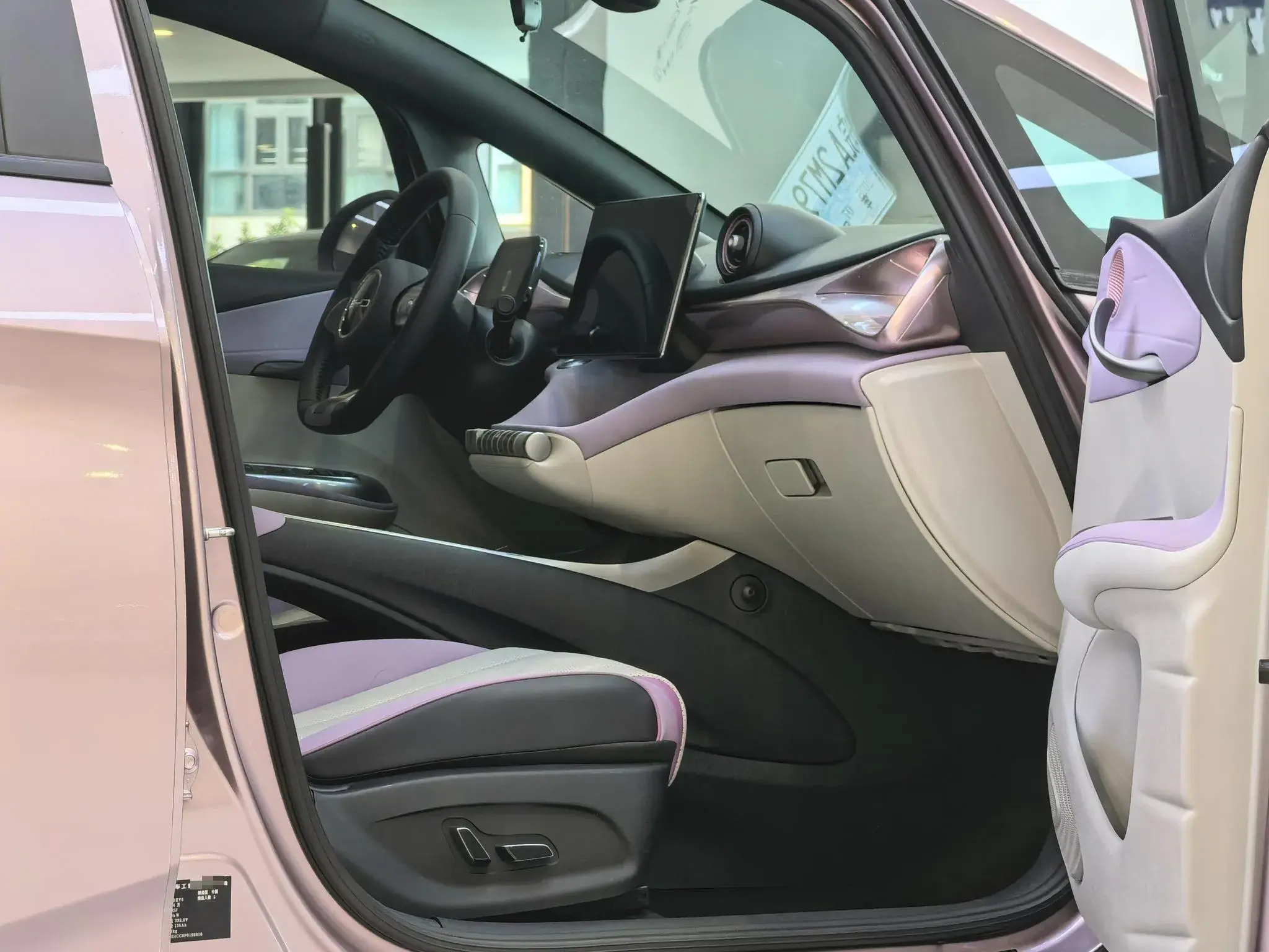 2023 BYD DOLPHIN thumbnail 2