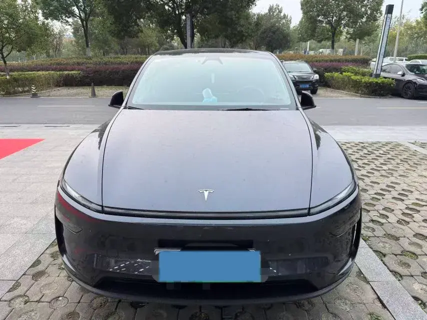 2025 TESLA MODEL thumbnail 2