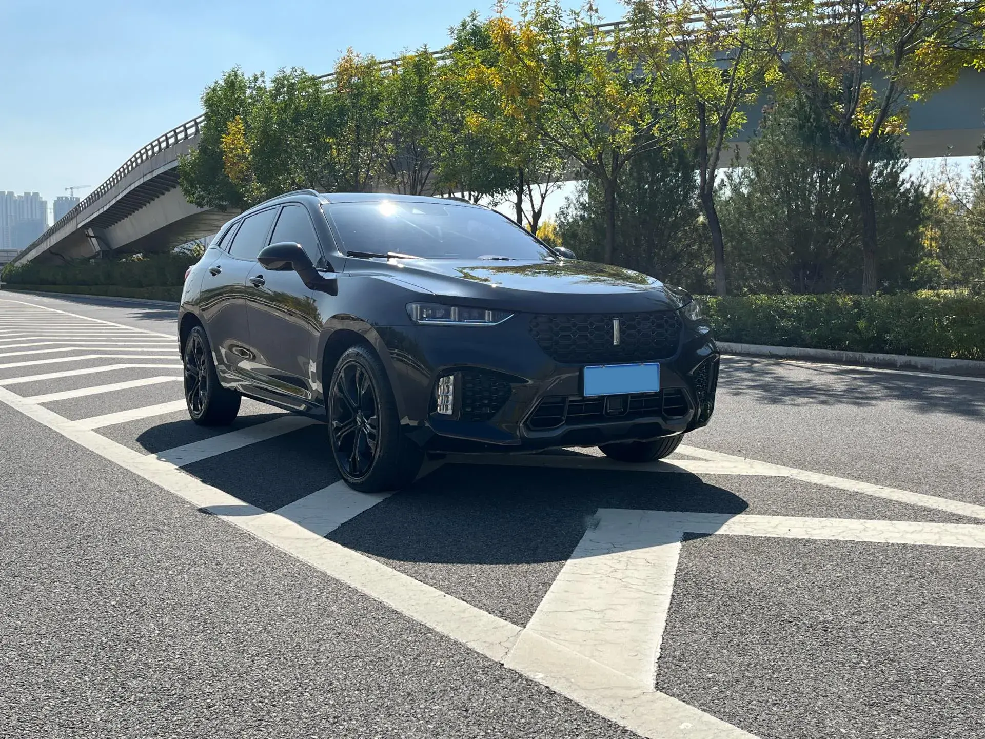 2017 ZOTYE T700 thumbnail 2