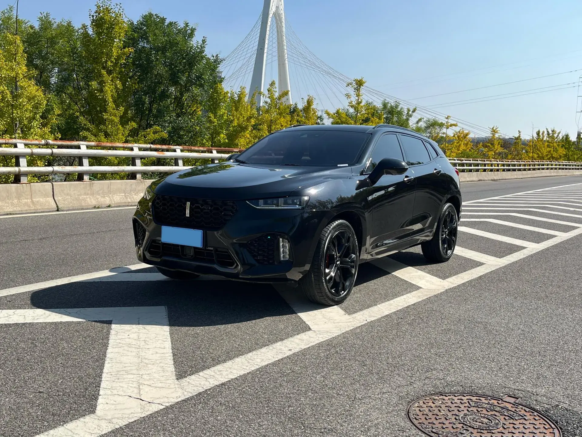 2017 ZOTYE T700 view 1