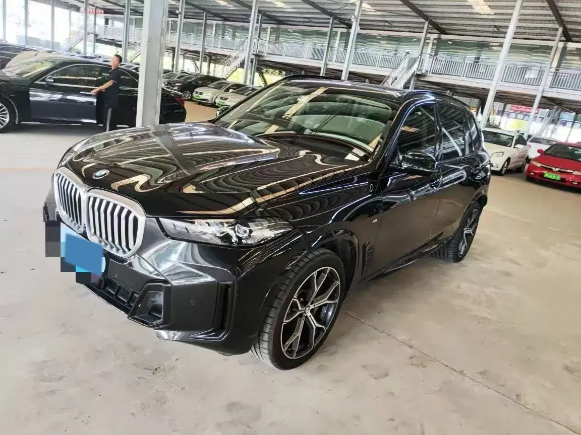 2023 BMW X5 view 1