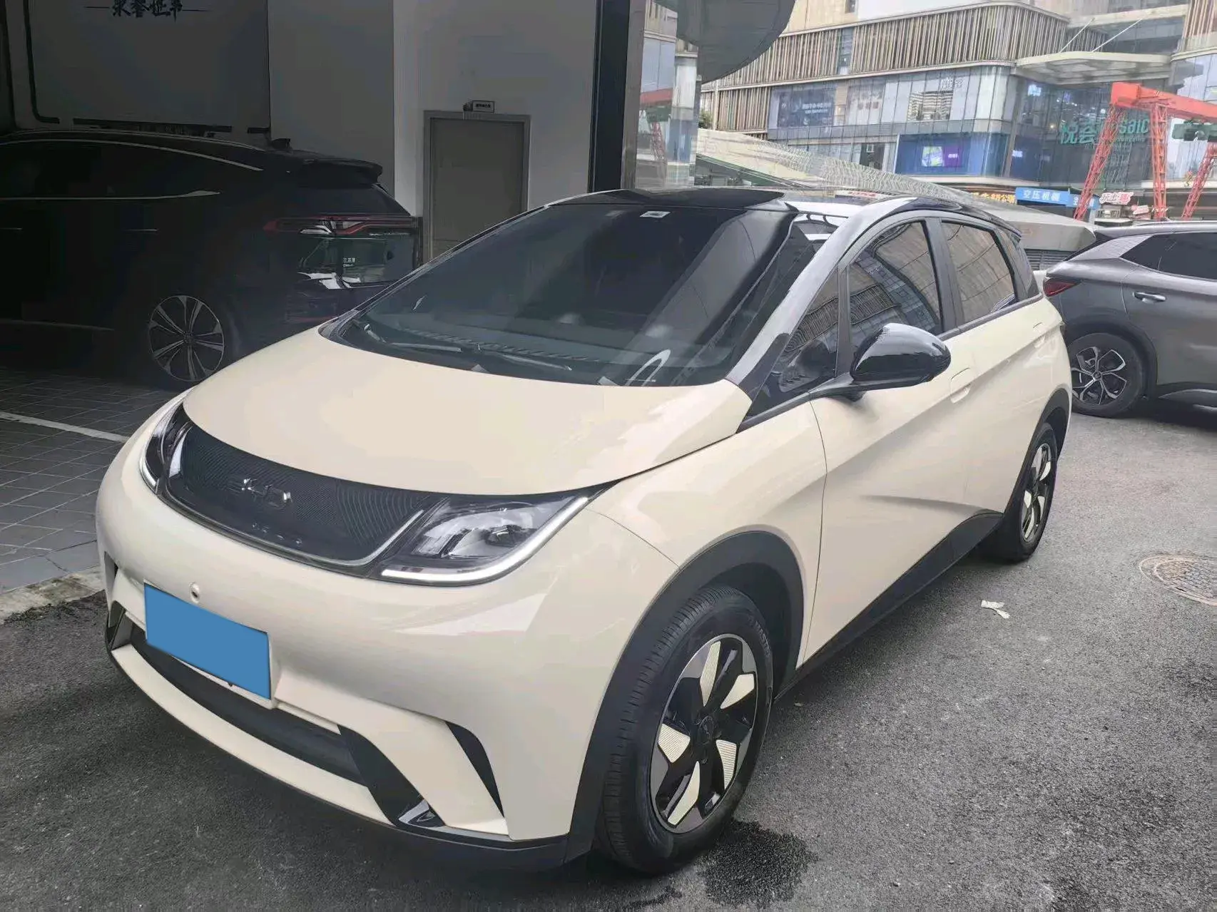 2025 BYD DOLPHIN view 1