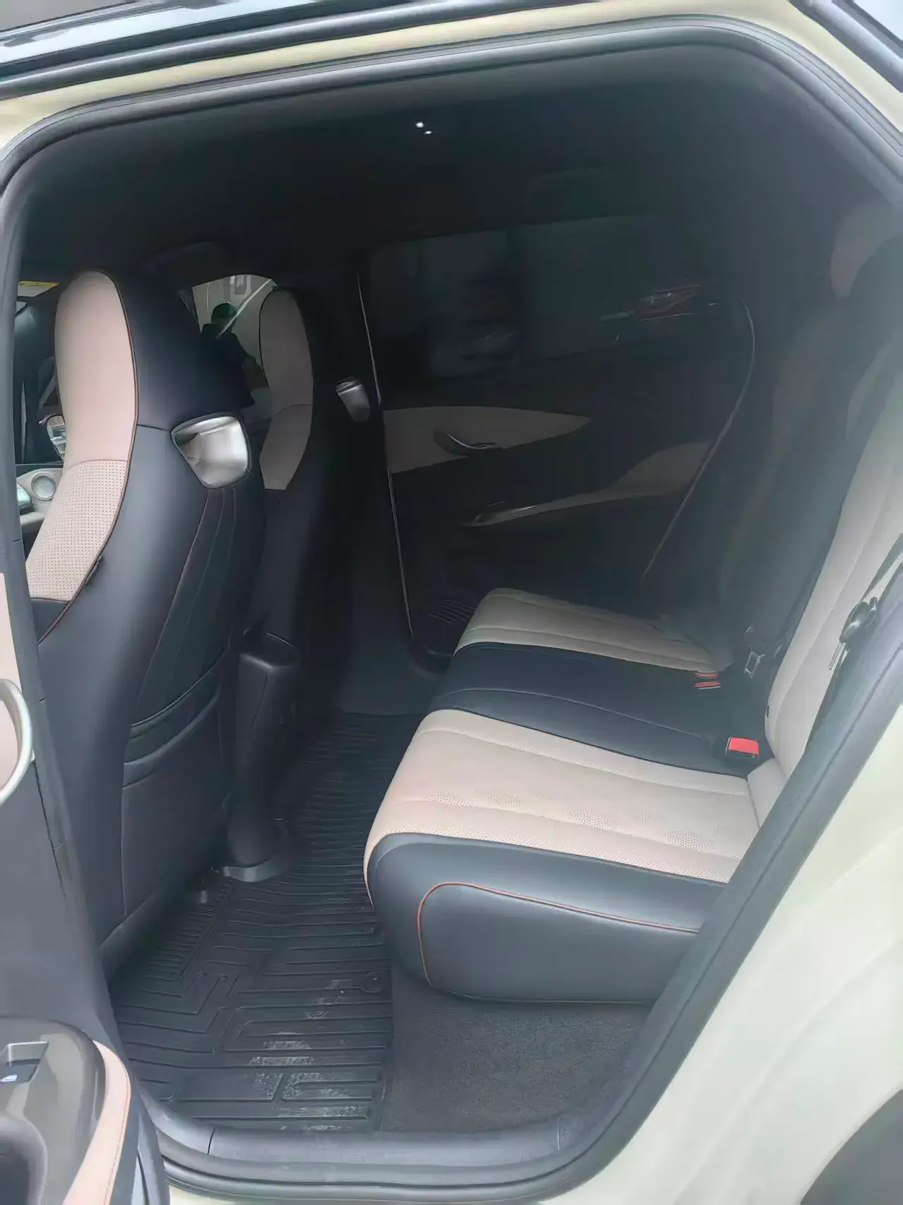 2025 BYD DOLPHIN thumbnail 4