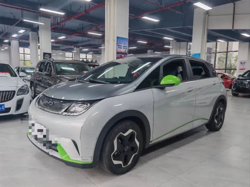 2021 BYD DOLPHIN view 1