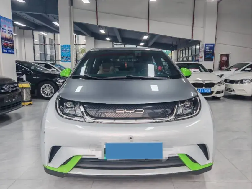 2021 BYD DOLPHIN thumbnail 2