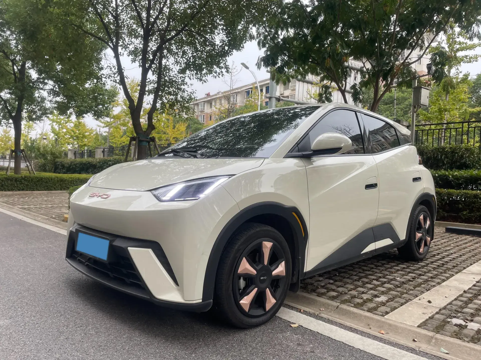 2023 BYD SEAGULL view 1