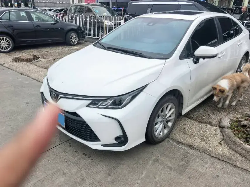 2023 TOYOTA COROLLA view 1