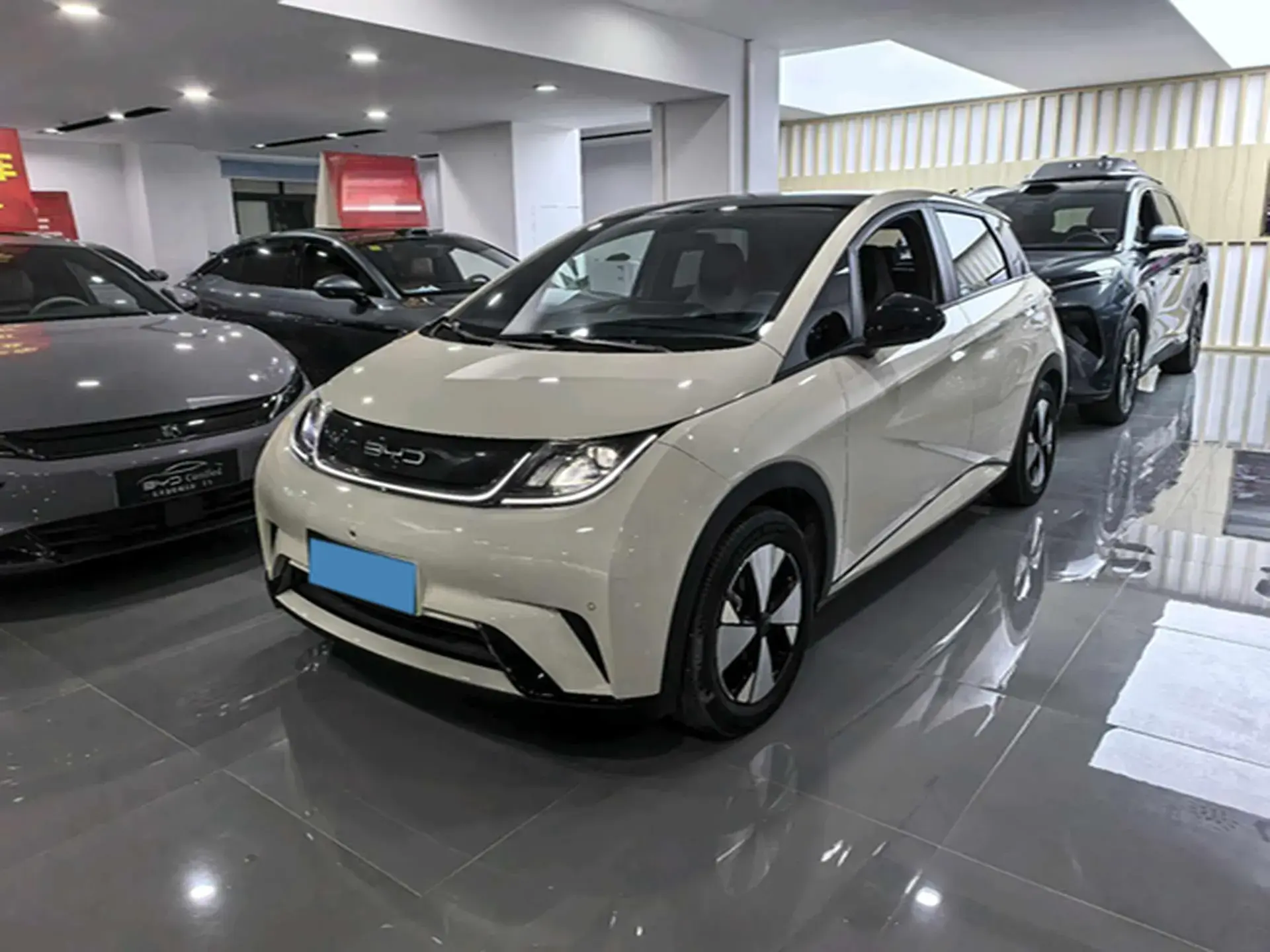 2023 BYD DOLPHIN view 1