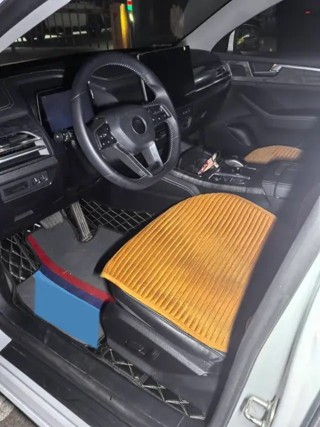 2019 BYD QIN thumbnail 4