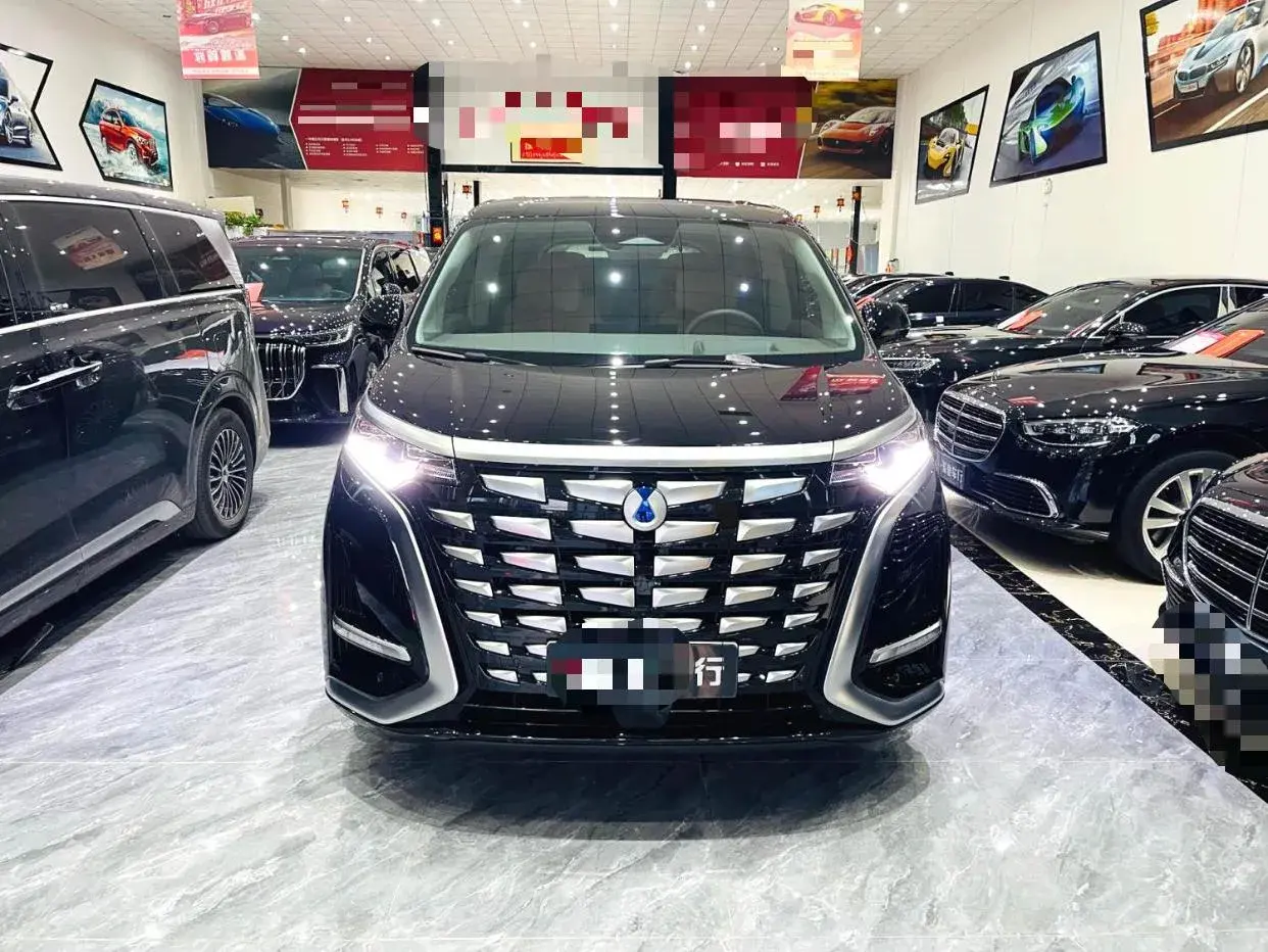 2022 DENZA D9 thumbnail 2