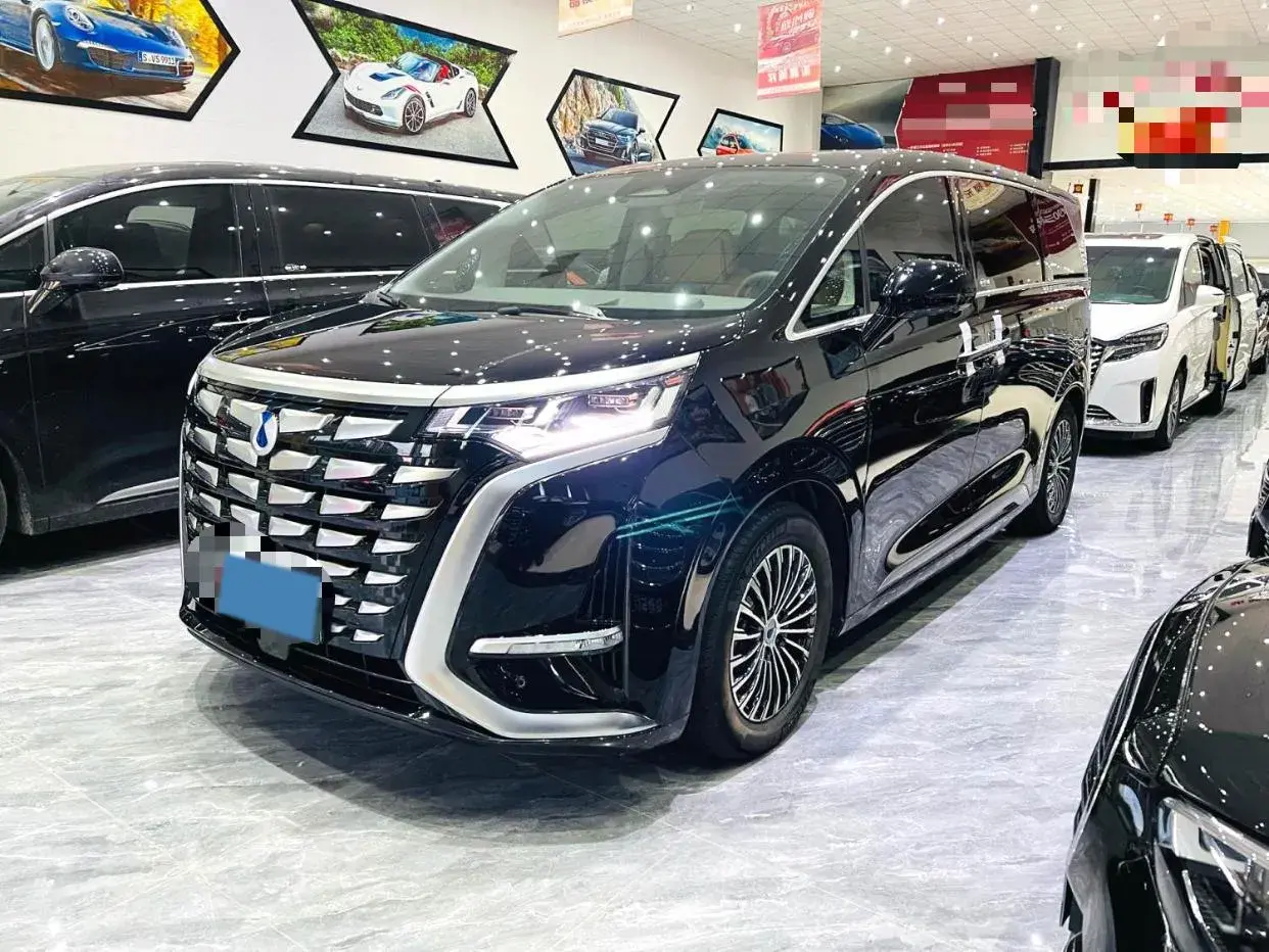 2022 DENZA D9 view 1