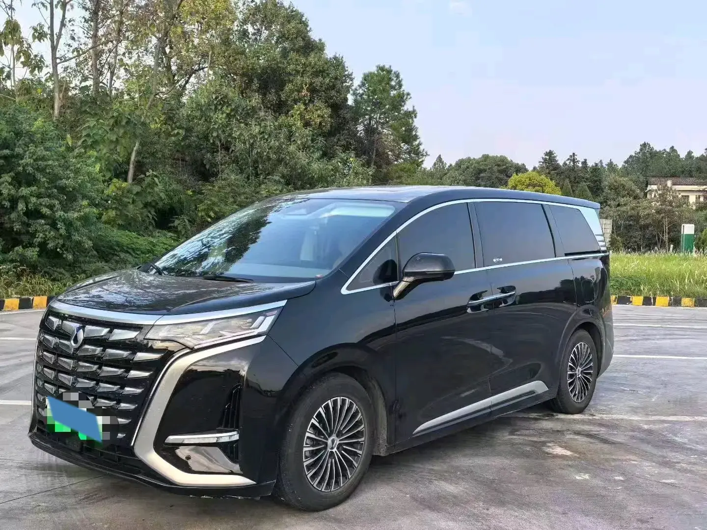 2024 DENZA D9 view 1