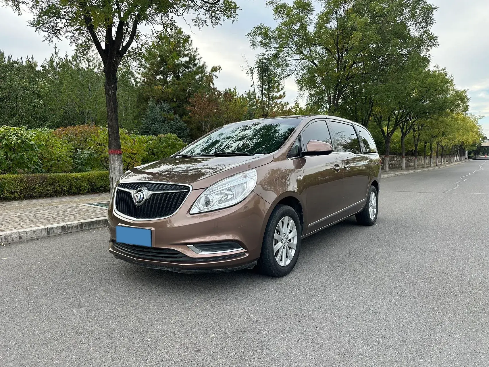 2018 BUICK GL8 view 1