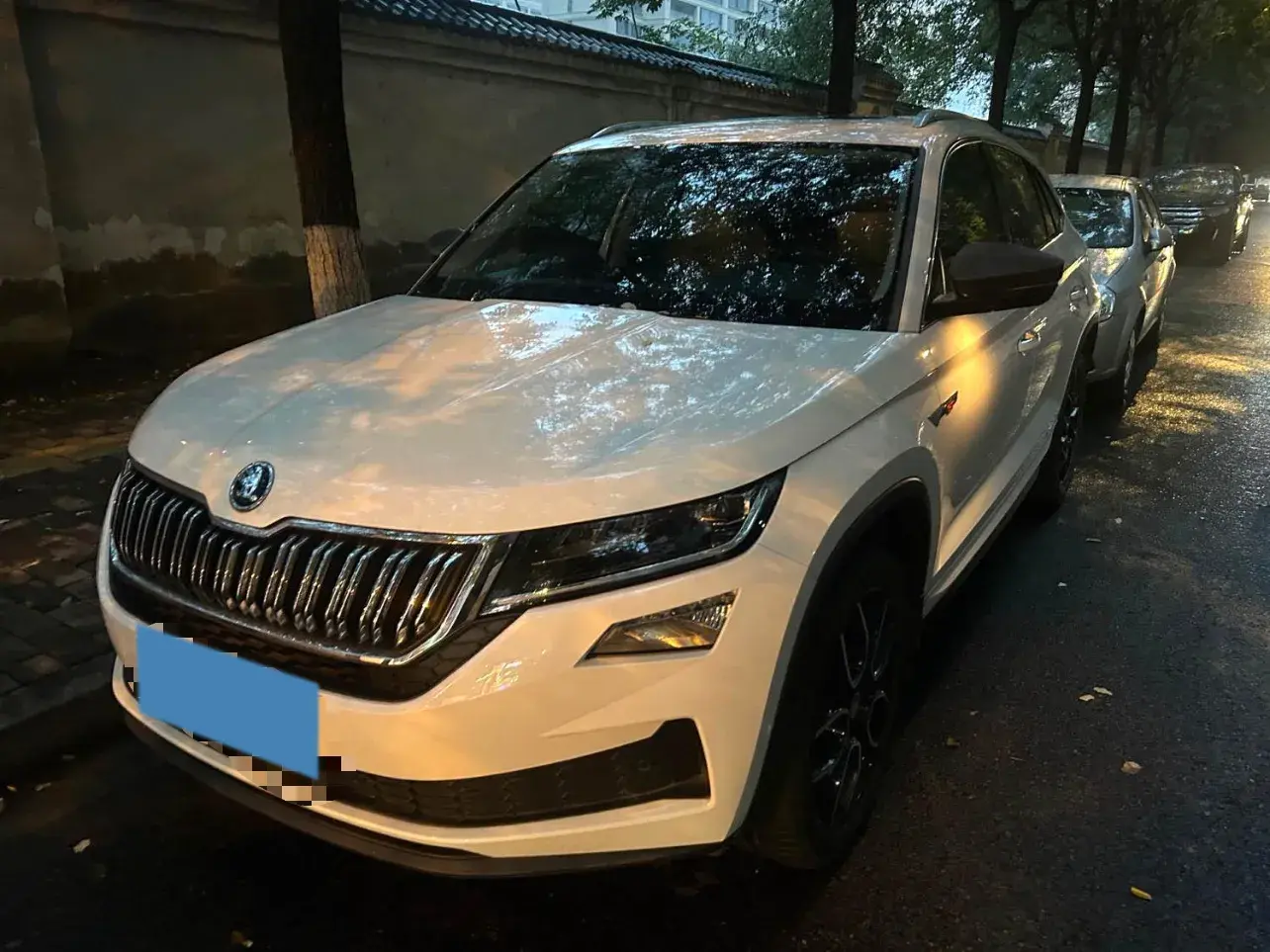 2019 SKODA KODIAK view 1