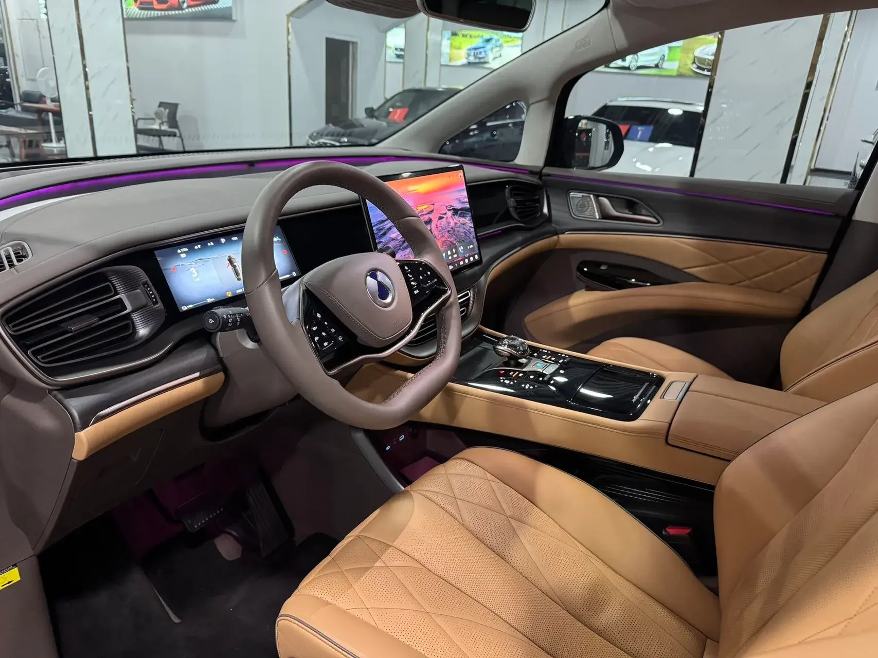 2022 DENZA D9 thumbnail 4