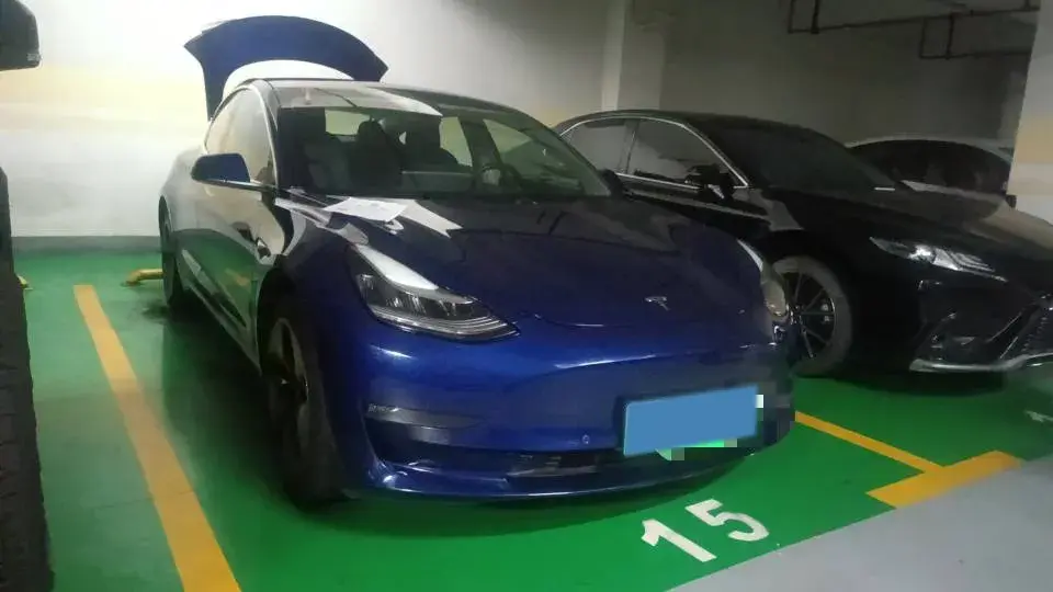 2020 TESLA MODEL thumbnail 2