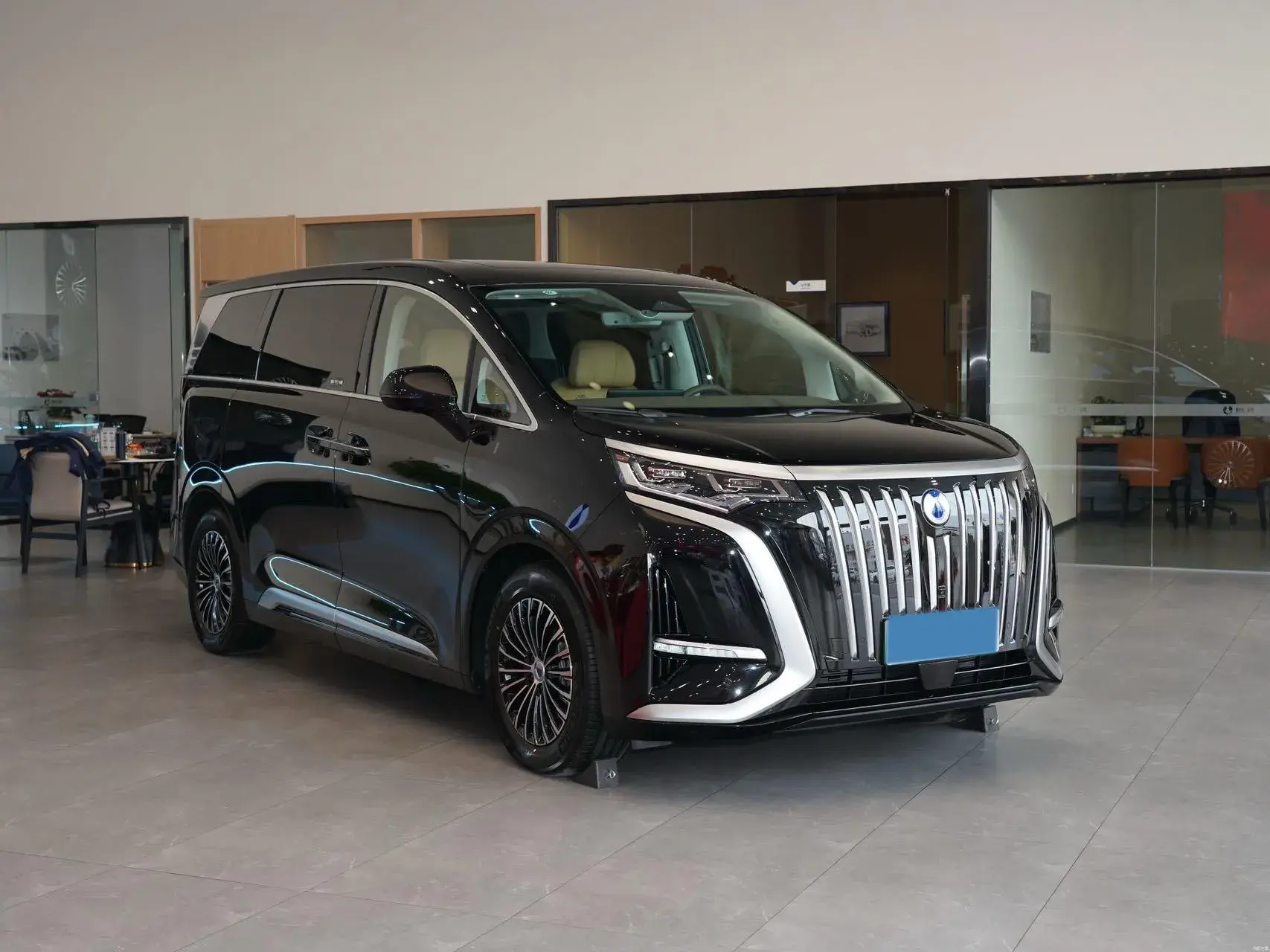 2022 DENZA D9 thumbnail 2