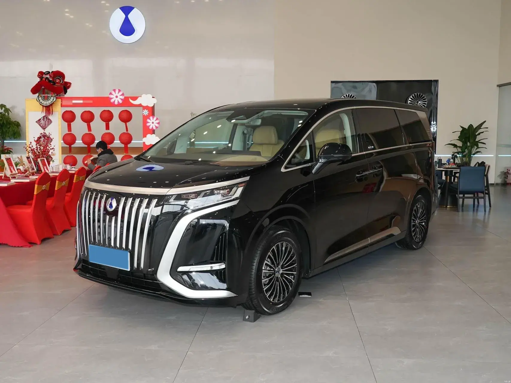 2022 DENZA D9 view 1