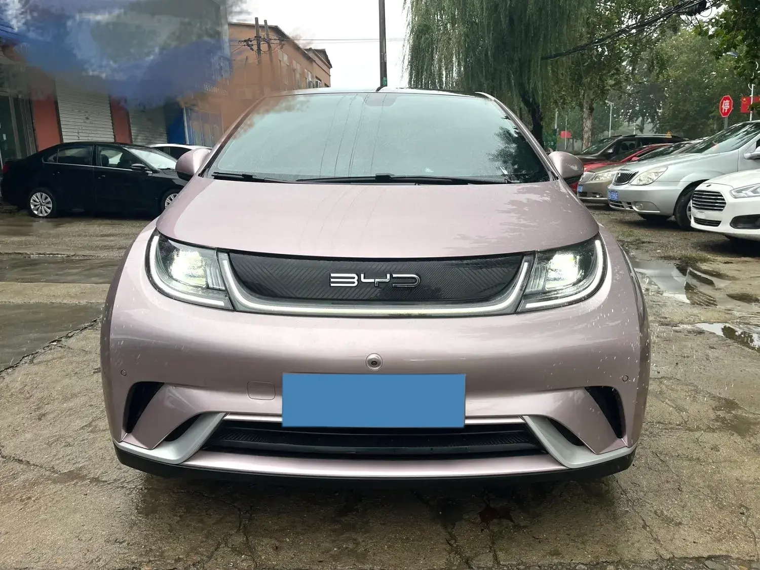 2023 BYD DOLPHIN thumbnail 2