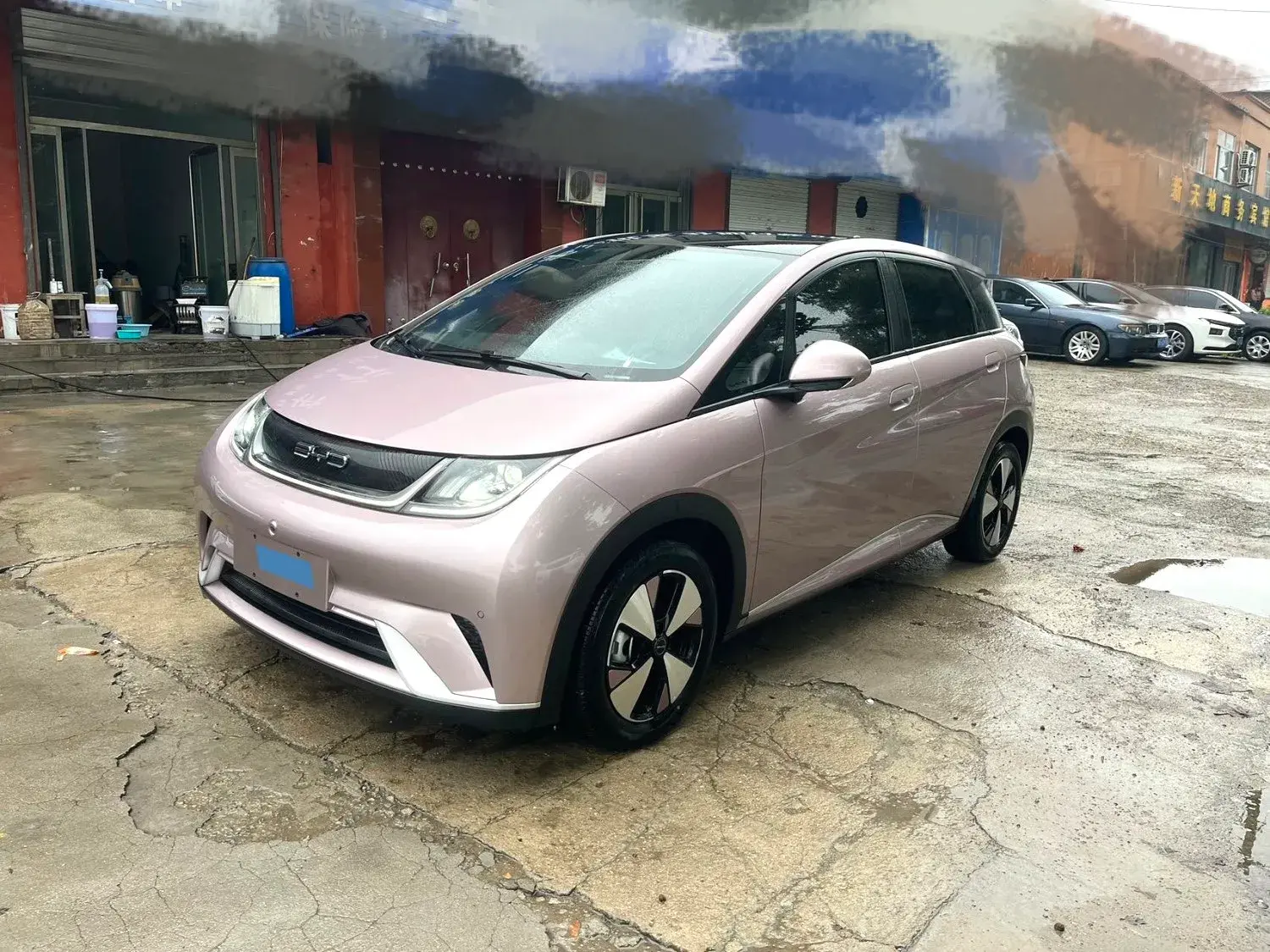 2023 BYD DOLPHIN view 1