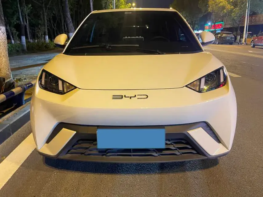 2024 BYD SEAGULL thumbnail 2