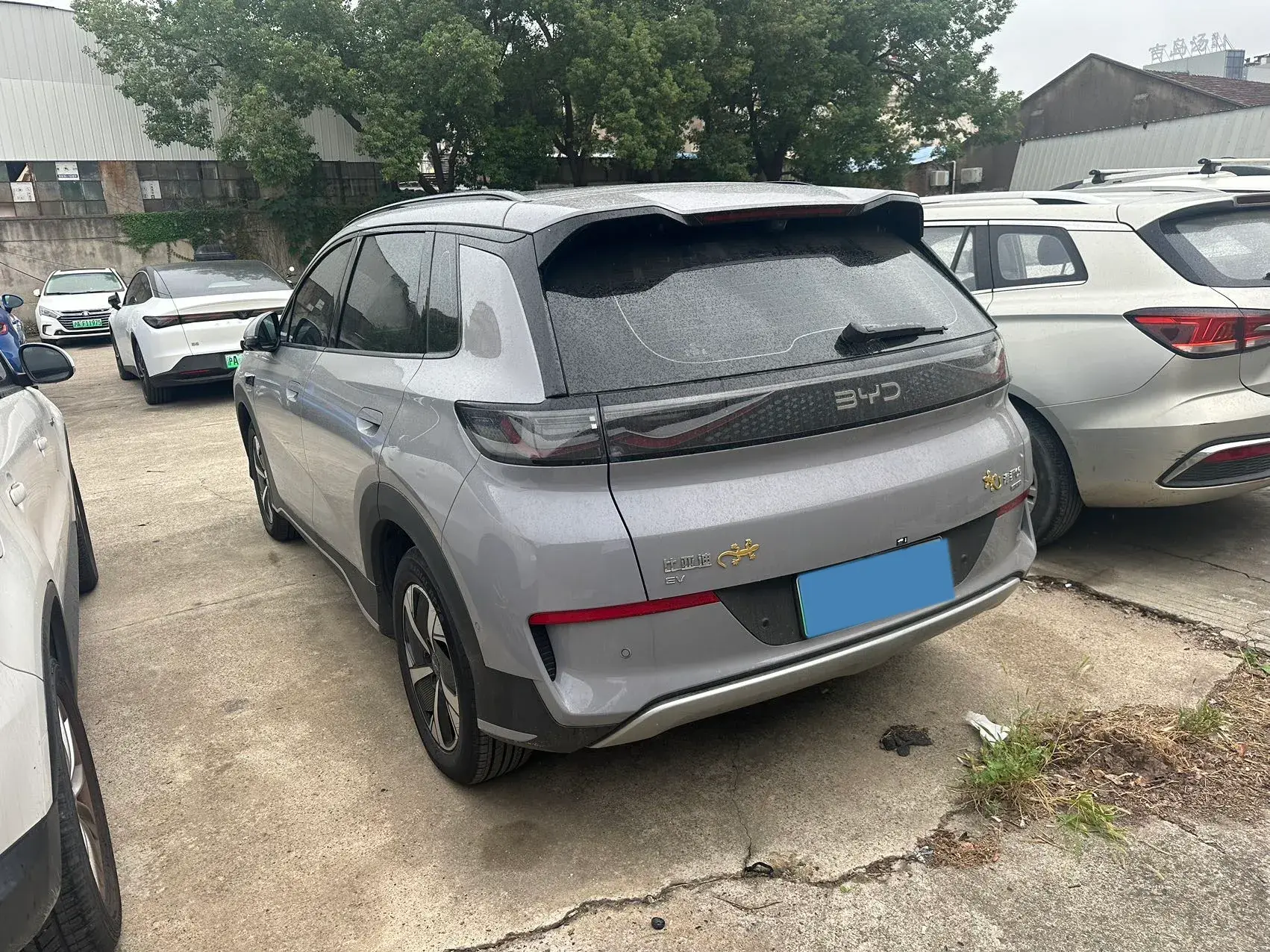 2025 BYD SEA thumbnail 4