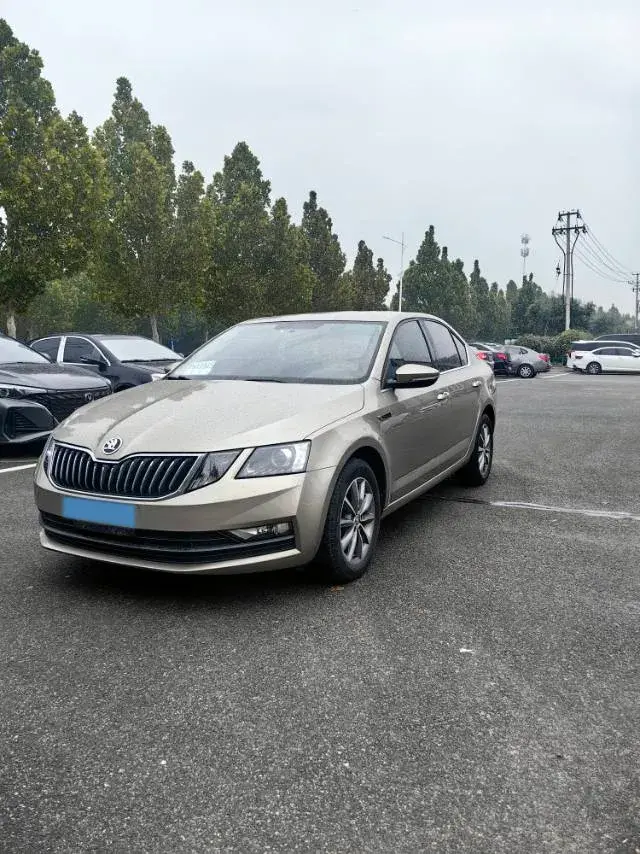 2019 SKODA OCTAVIA view 1