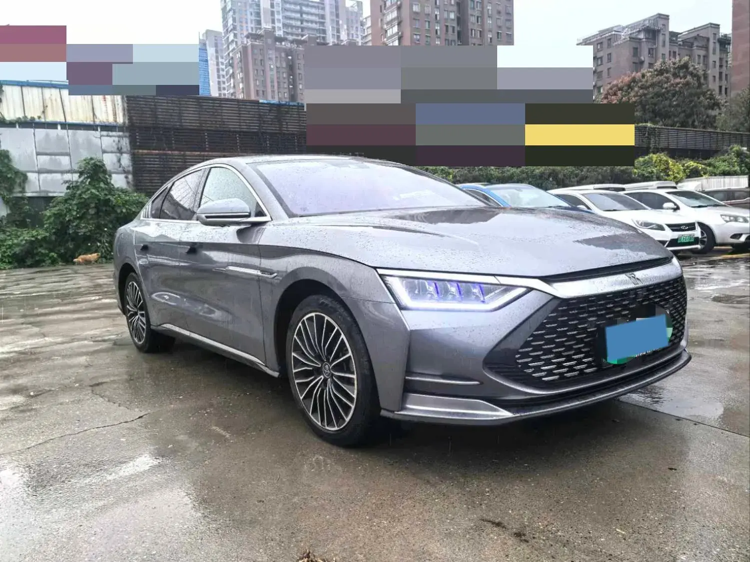 2020 BYD HAN thumbnail 2