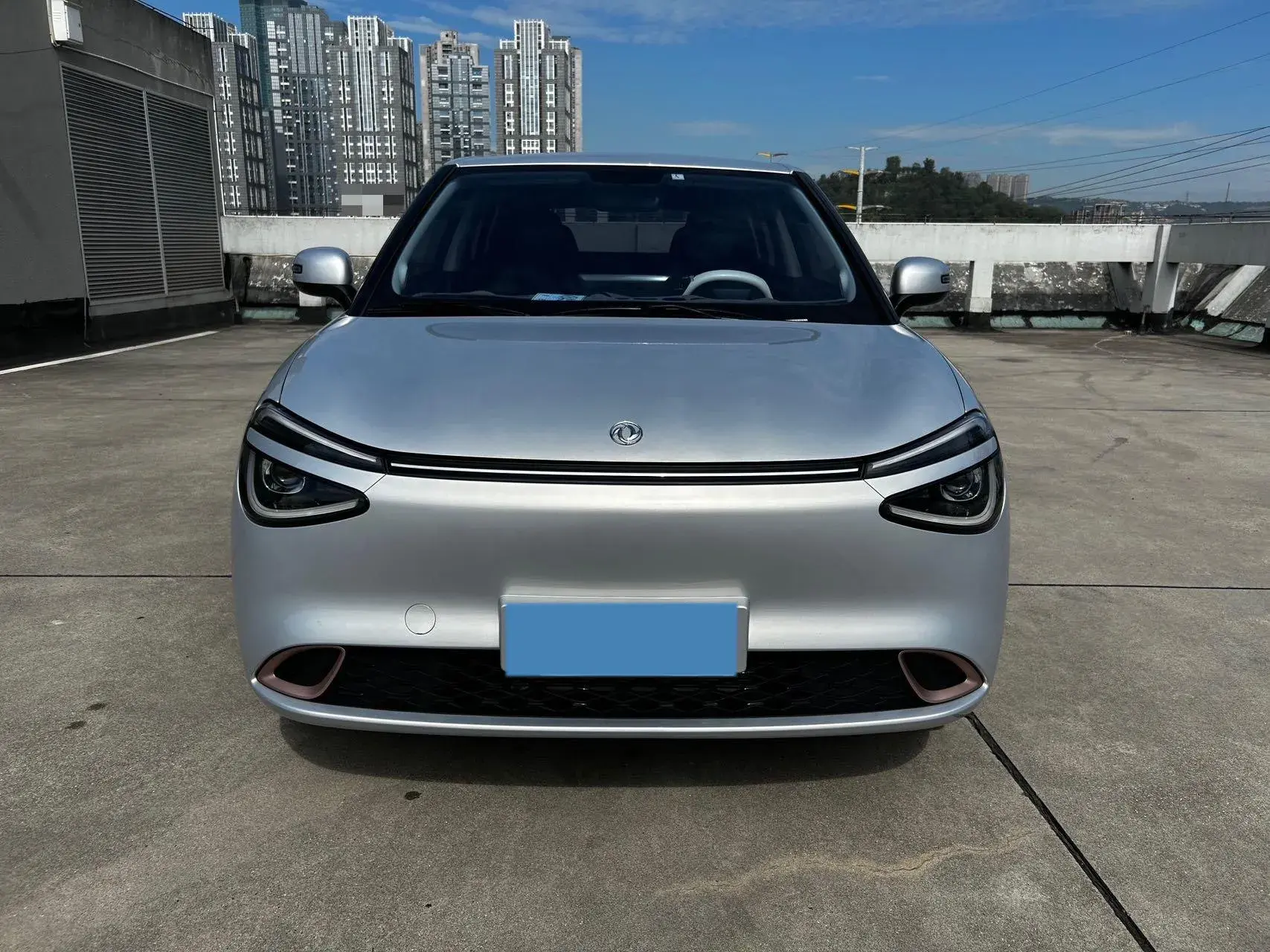 2024 DONGFENG NAMMI thumbnail 2