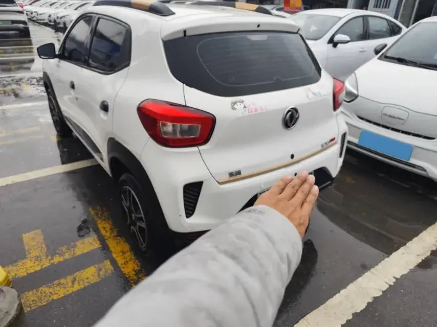 2022 DONGFENG NAMMI thumbnail 2