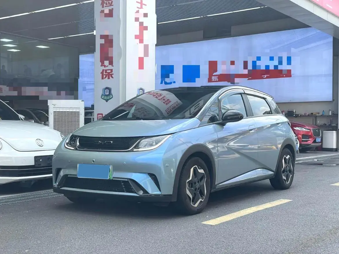 2021 BYD DOLPHIN view 1