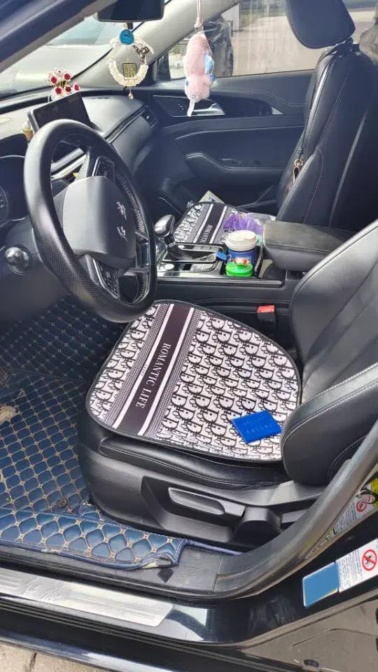 2018 HONGQI H5 thumbnail 3