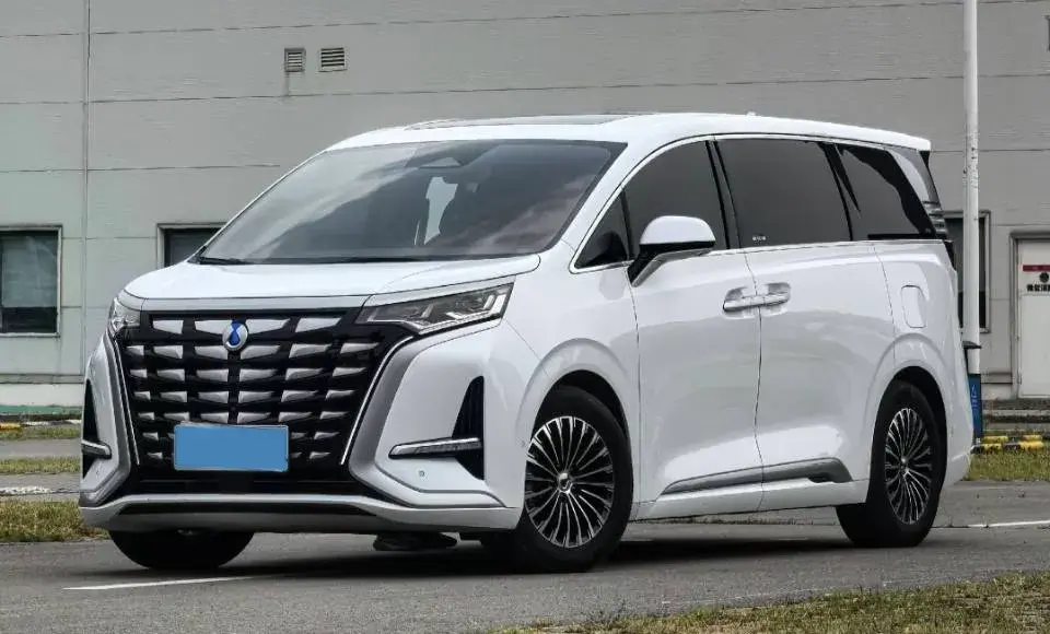 2022 DENZA D9 view 1