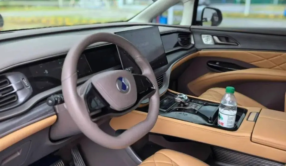 2022 DENZA D9 thumbnail 3