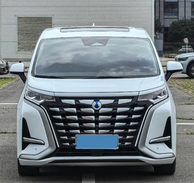 2022 DENZA D9 thumbnail 2